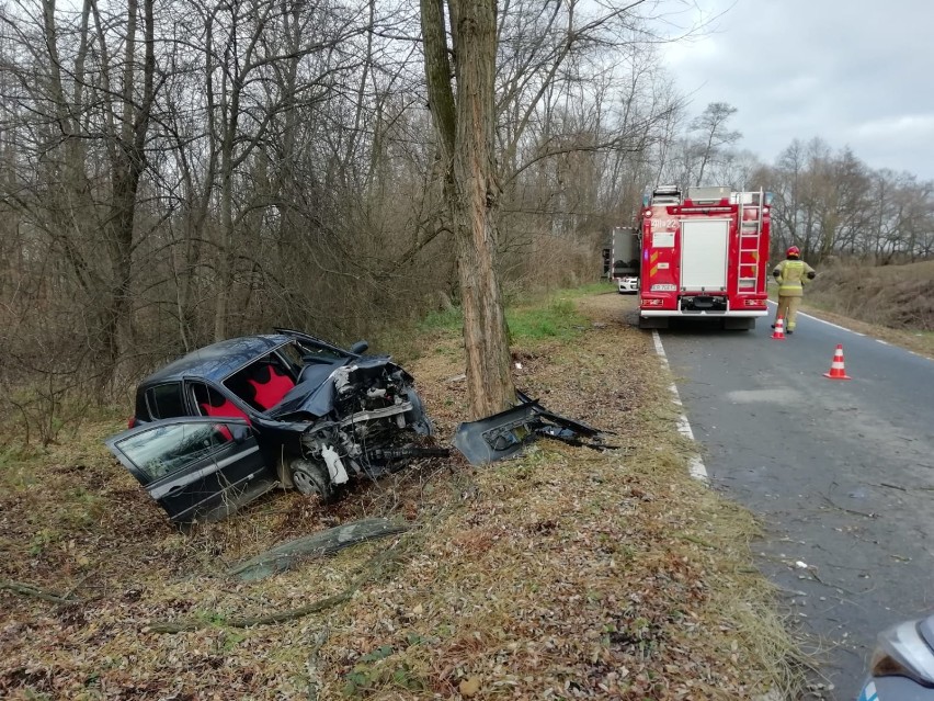 Wypadek w Złotej, renault clio uderzyło w drzewo, 24.11.2020