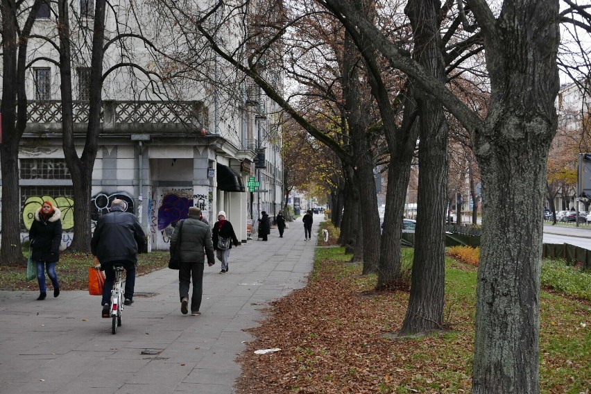Mieszkańcy Mokotowa za usprawnieniem ruchu rowerów w dzielnicy. Ale nie kosztem zieleni i miejsc parkingowych. Czy to możliwe? 