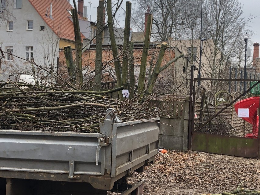 Przy placu Teatralnym rozpoczęła się wycinka drzew....