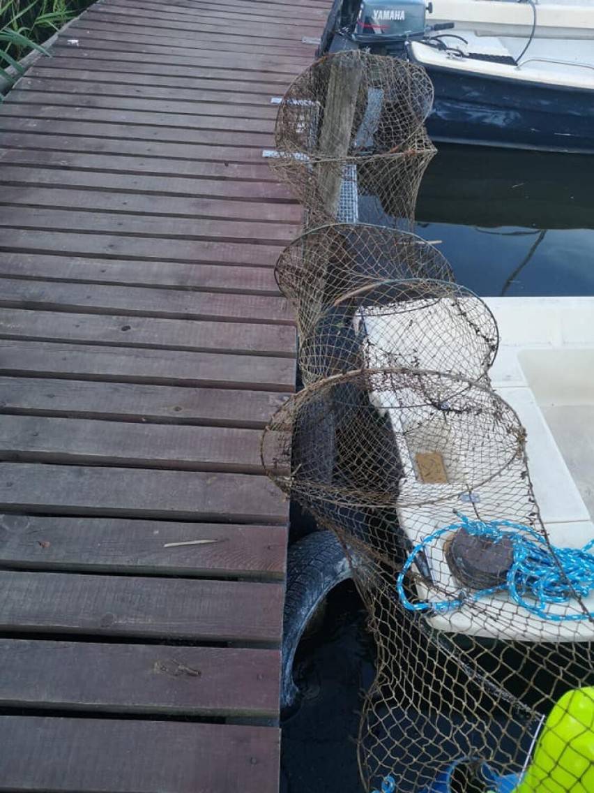 Kłusują na Jeziorze Chodzieskim. Strażnicy wyciągnęli żaki i sieci ukryte blisko trzcin