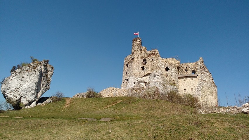 Zamek w Mirowie... teraz za murem. Wkrótce będzie brama [ZDJĘCIA]