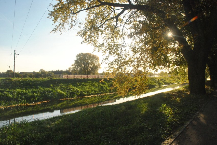 KOŚCIAN. Piękna, polska, złota jesień nad Obrą [ZDJĘCIA]