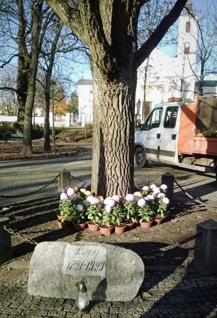 W Suwałkach na grobach zasłużonych dla miasta osób ustawiono 800 chryzantem