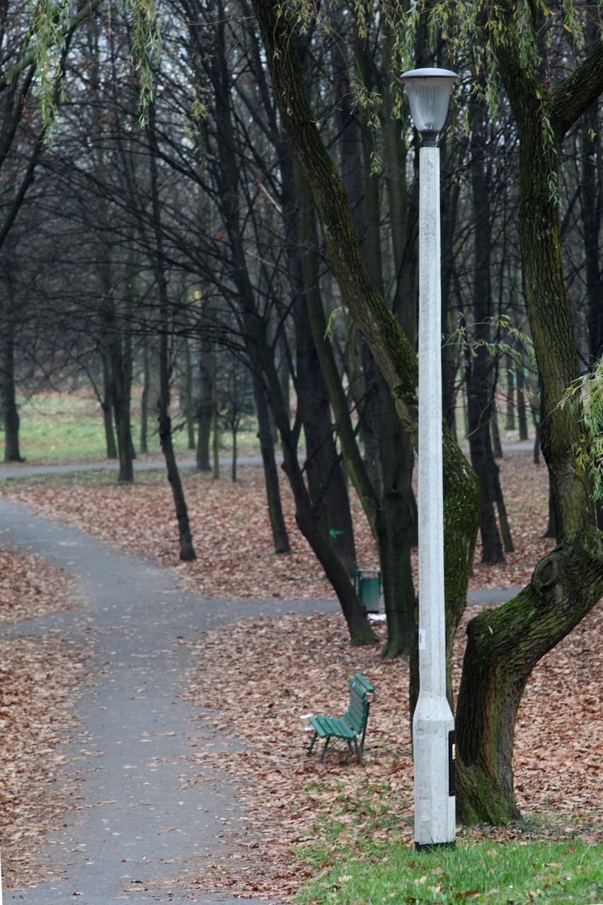 Jak podkreślają radni Dzielnicy XIV Czyżny, na terenie...