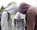 Ustawki nastolatków na toruńskich ulicach