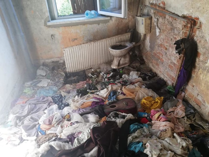 Pies uratowany z pustostanu w Czerwionce-Leszczynach. Szczekał z okna zamkniętego pokoju [ZDJĘCIA]