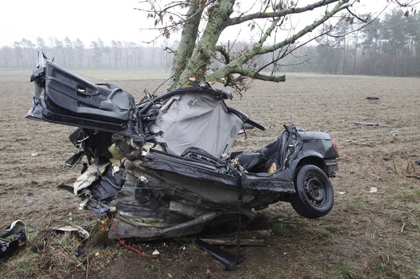 Dolny Śląsk. Jego BMW owinęło się wokół drzewa, a on sam przeżył (ZOBACZ ZDJĘCIA)