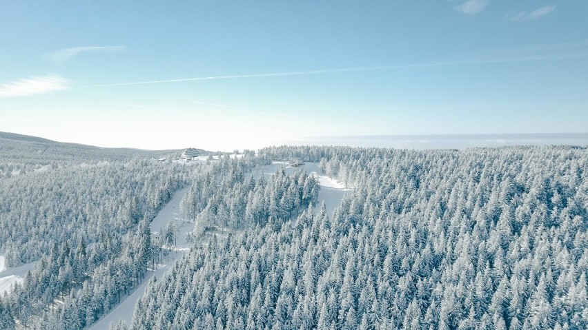 Zimowe ferie w stacji narciarskiej Zieleniec Ski Arena [ZDJĘCIA]