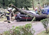 Nawałnica w Bielsku-Białej! Gwałtowna burza połamała drzewa i zniszczyła samochody...