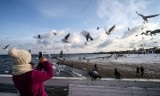 Ferie nad morzem: TOP 5 powodów, dla których warto zaplanować zimowy wypoczynek nad Bałtykiem. Jakie atrakcje czekają zimą nad morzem?
