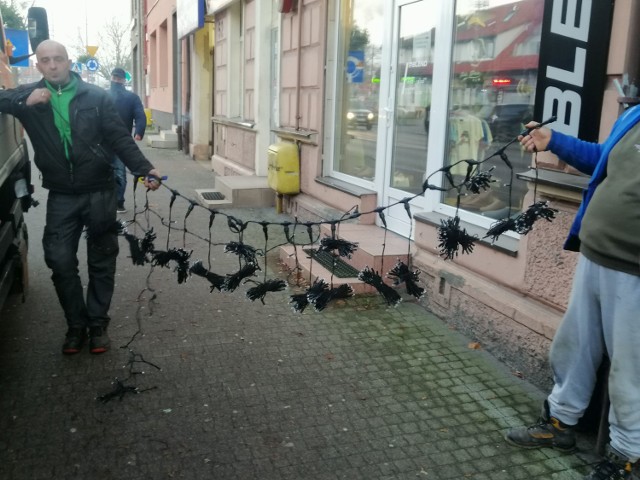 Na wiśnie japońskie w centrum Goleniowa zakładane były nowe zestawy świątecznych światełek