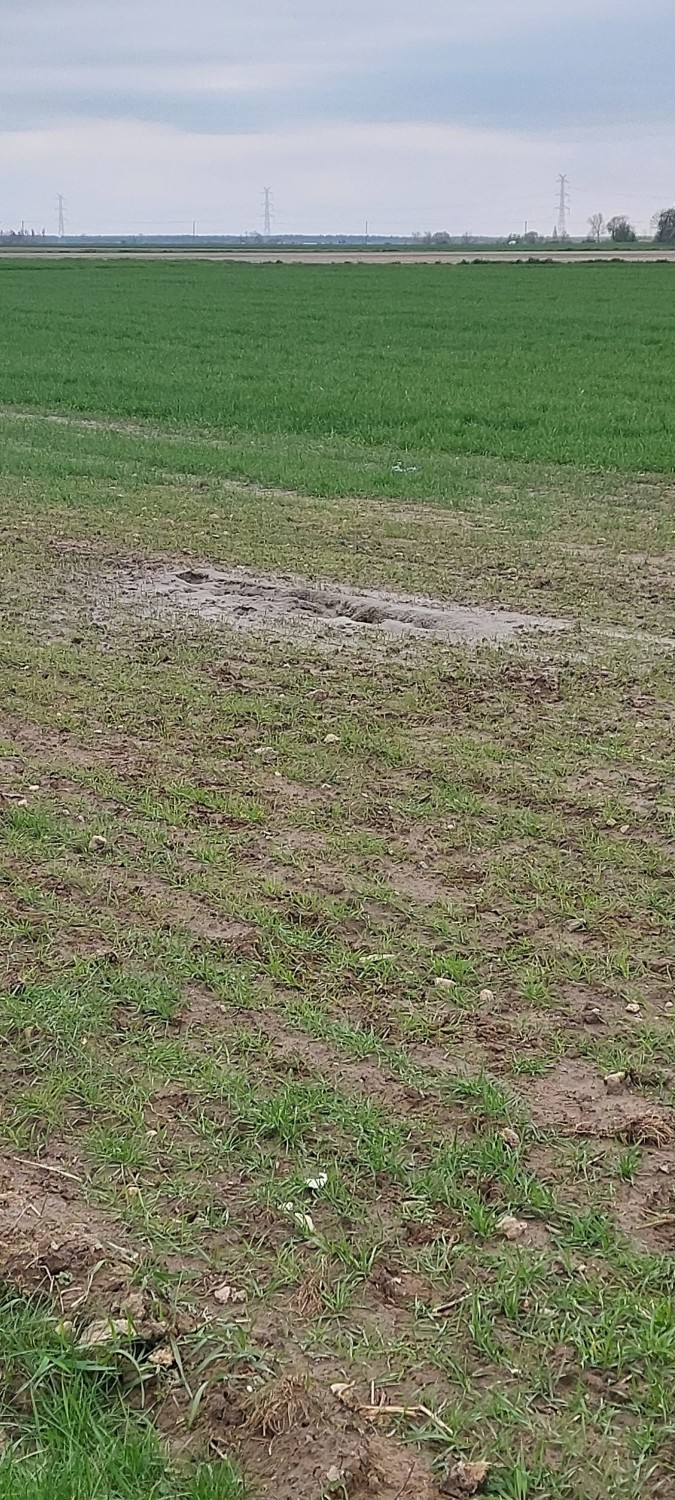 Gmina Dobrzyca. Rozszczelnienie gazociągu. Interweniowała straż i pogotowie gazowe