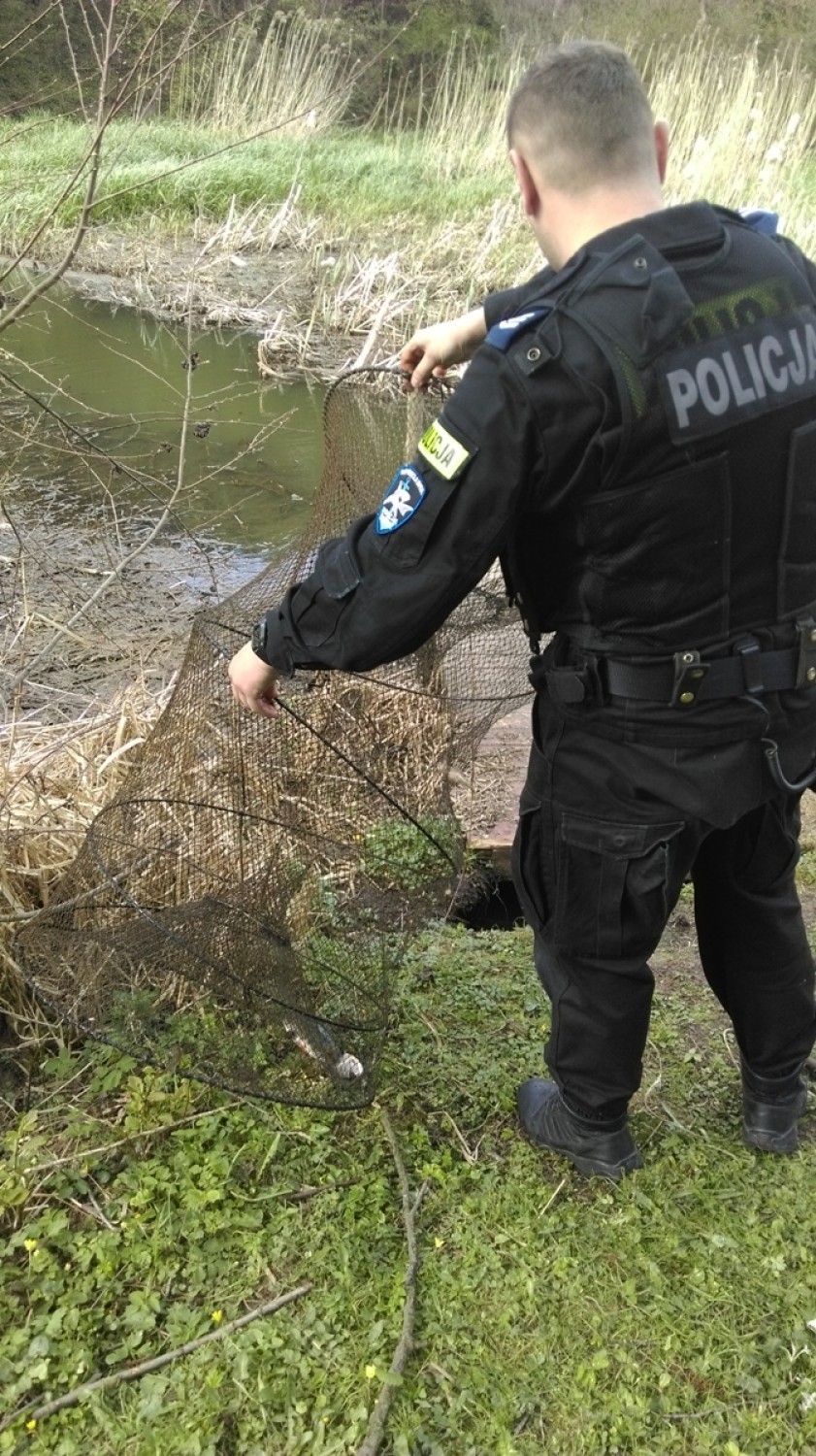 Policjanci złapali kłusownika na gorącym uczynku