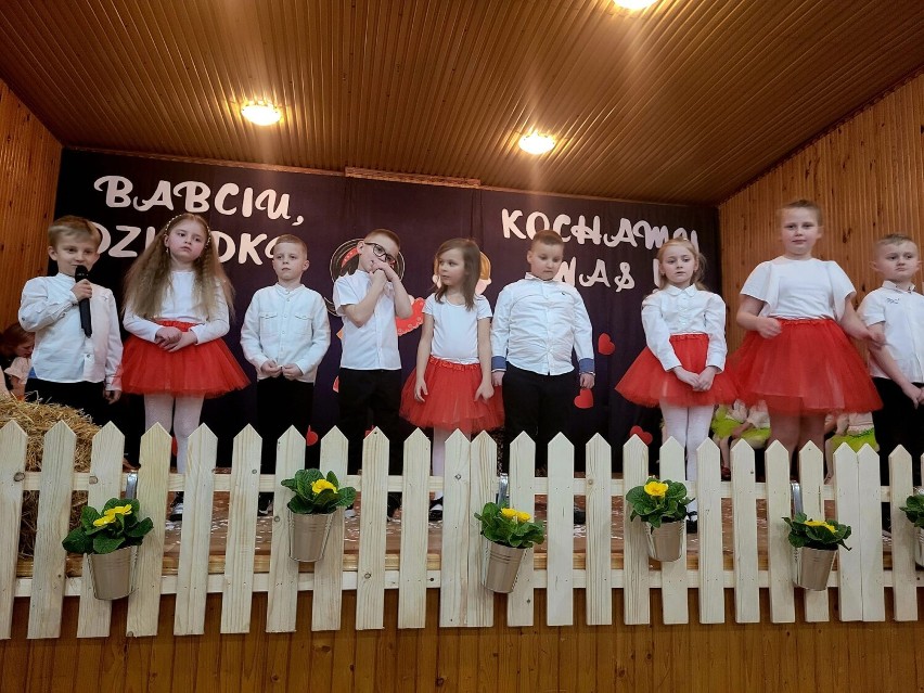 Dzień Babci i Dziadka w Szkole Podstawowej w Strugach. Przedszkolaki zaprezentowały piękne występy ZDJĘCIA
