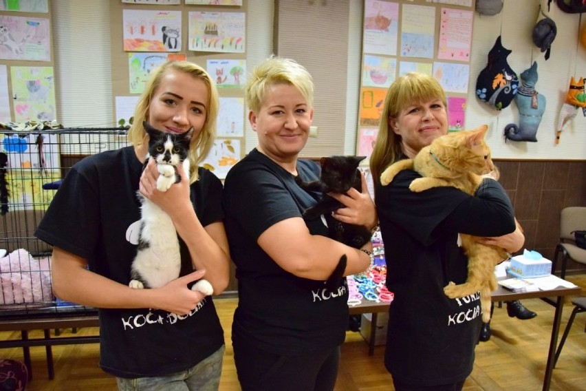 Wolontariuszki Fundacji "Kocia Dolina"
