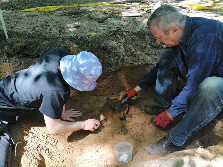 Niezwykłe znalezisko archeologiczne w Parparach koło Sztumu. Cmentarzysko sprzed 3000 lat!