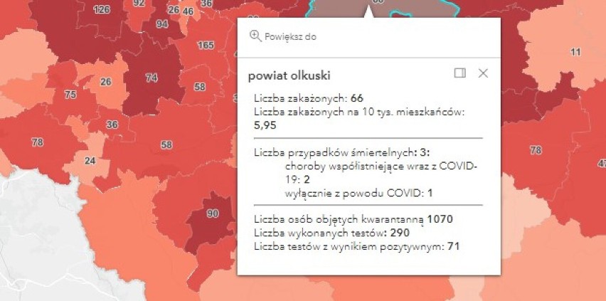 Prawie trzysta zakażeń koronawirusem w Małopolsce zachodniej. W powiatach oświęcimskim, wadowickim, chrzanowskim i olkuskim 