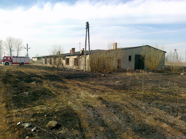 Pożar w Turzynowie. Spłonęło 1,5 ha trawy i część budynku gospodarczego