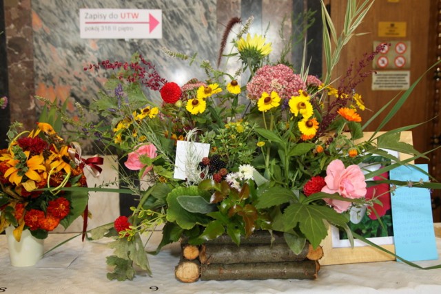 Sobota to drugi dzień Festiwalu Kwiatów w Dąbrowie Górniczej