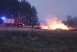 Manewry strażackie w Borui Kościelnej [ZDJĘCIA]