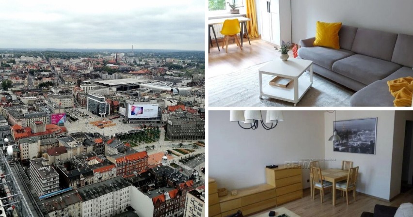 Mieszkania dla studentów w Katowicach już są wynajmowane i...