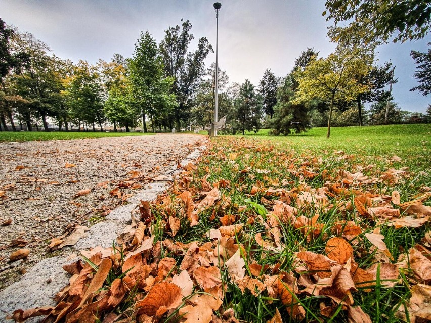 Park Heermana w Lesznie jesienią 2021