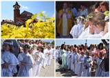 I Komunia Święta w parafii pw. św. Marii Magdaleny w Krotoszynie [FOTOGALERIA]