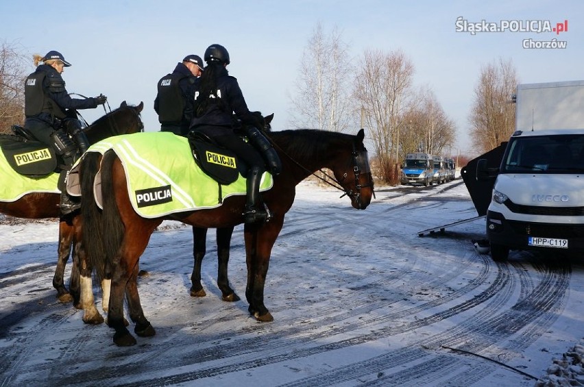 Egzamin Toszka i Smyczka - koni policyjnych