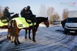 Egzamin Toszka i Smyczka - koni policyjnych [ZDJĘCIA]