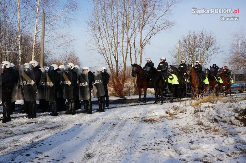 Egzamin Toszka i Smyczka - koni policyjnych