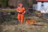 O krok od tragedii! Zawalony biedaszyb na styku ulicy Reja - Ludowej w Wałbrzychu. Trwa akcja służb. Zobaczcie zdjęcia 