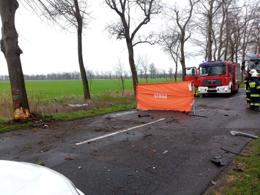 Śmiertelny wypadek na trasie Przyprostynia - Chobienice. Auto uderzyło w drzewo [ZDJĘCIA]