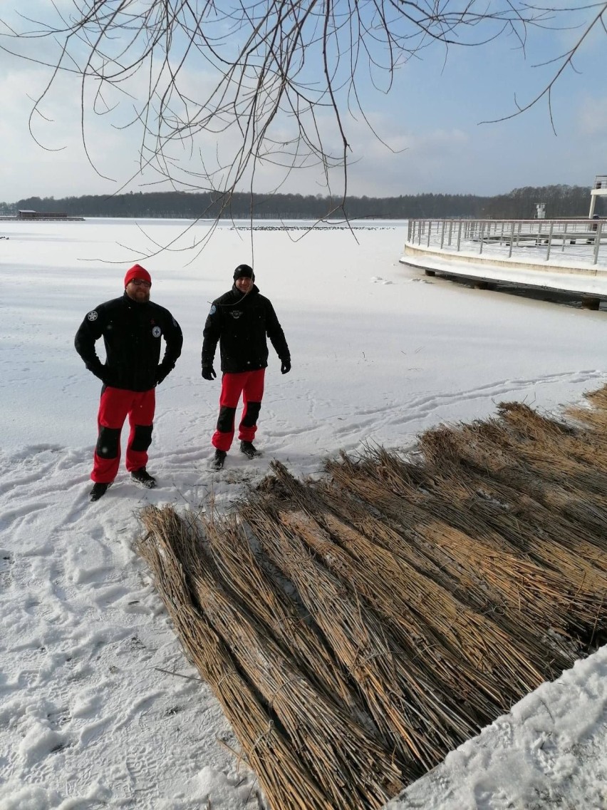 Maty na Trzesiecku w Szczecinku. Bezpieczne legowiska dla łabędzi [zdjęcia]