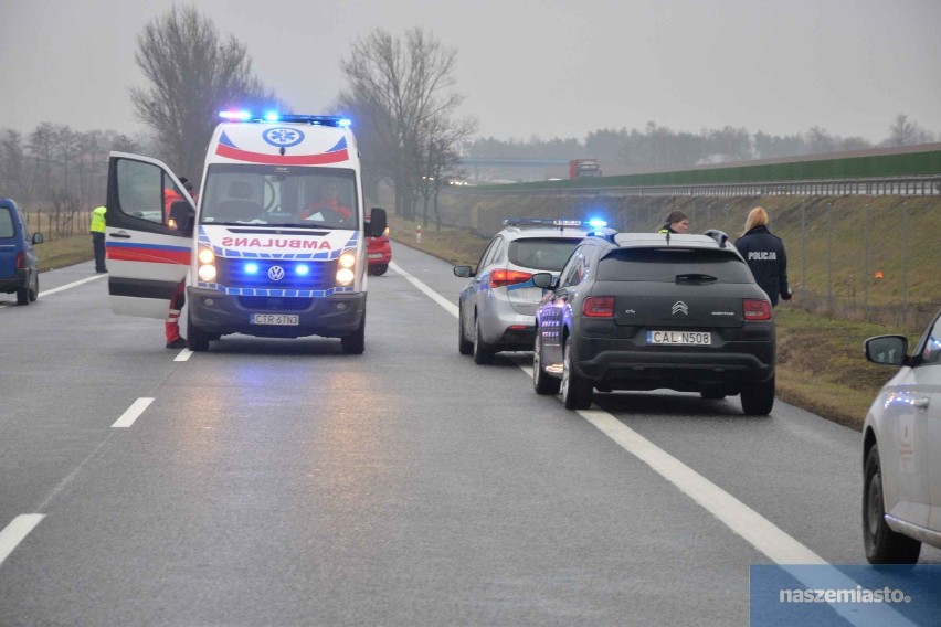 Śmiertelny wypadek na drodze Włocławek - Ciechocinek. Nie żyje kobieta [zdjęcia, wideo]