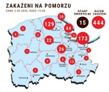 Koronawirus: Raport z Pucka i powiatu puckiego (kwiecień 2020): dzień po dniu, co działo się w powiecie puckim, raporty, dane