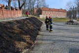 Wiosna idzie, zaczynają płonąć suche trawy - apel strażaków o zaniechanie tego zwyczaju [ZDJĘCIA]