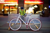 Pionier z Warszawy robi rowery z bambusu