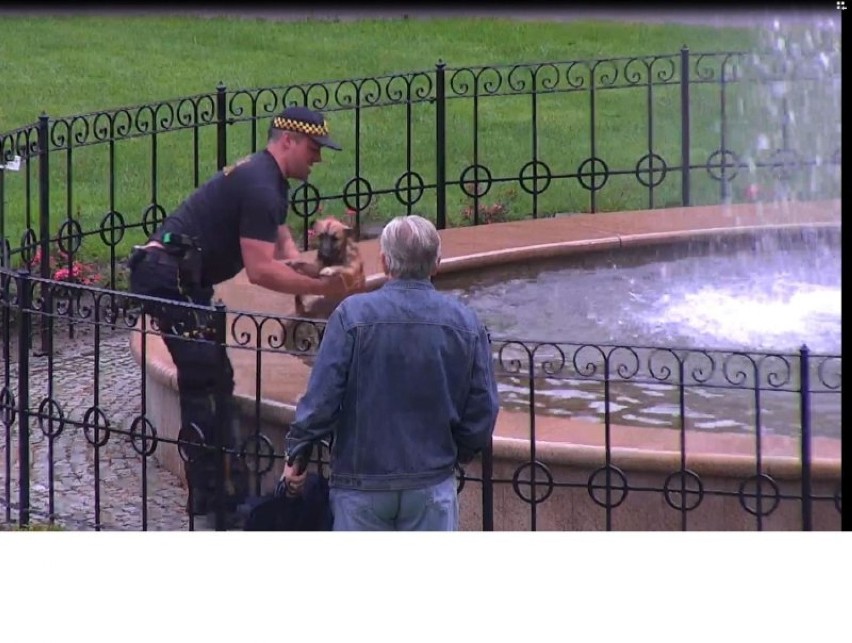 Wejherowscy strażnicy apelują, aby nie kąpać się w fontannach