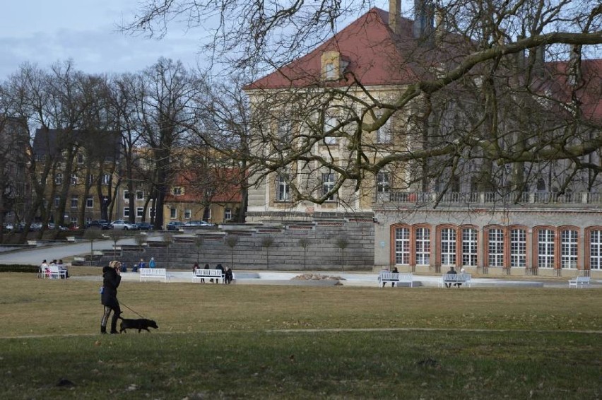 Park przypałacowy w Żaganiu.