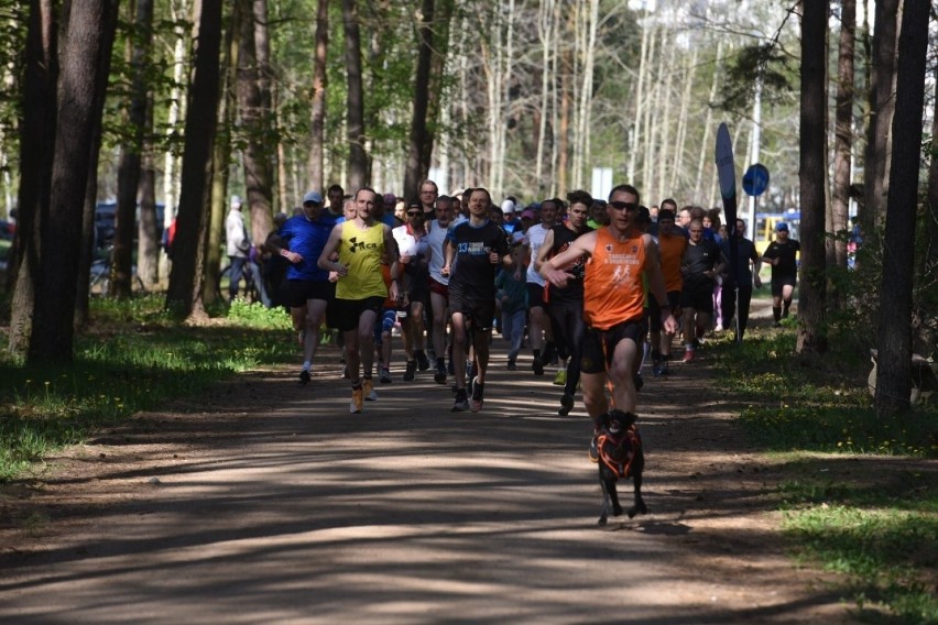 W sobotnie przedpołudnie toruńscy biegacze jak zwykle...