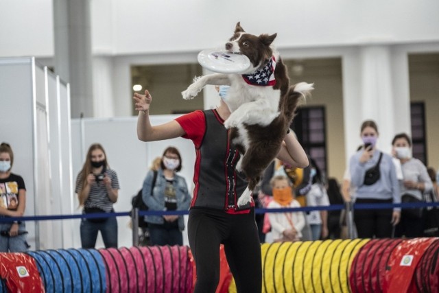 W weekend, 5-6 września, na Międzynarodowych Targach Poznańskich miłośnicy zwierząt mają co oglądać. Wszystko za sprawą targów Animal Fest.