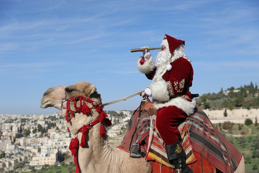 „Święty Mikołaj” na wielbłądzie na Górze Oliwnej, skąd...