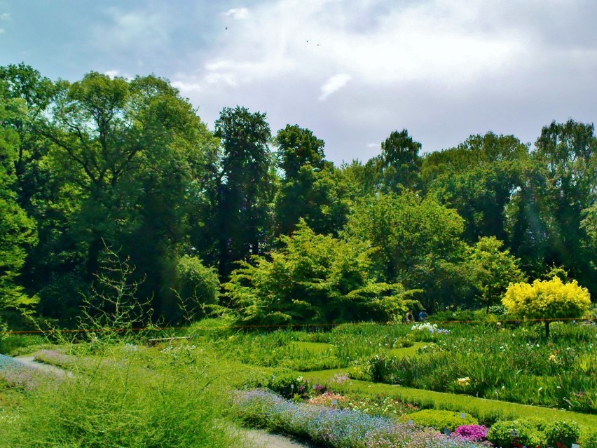 Piękne otoczenie? Na pewno krakowski ogród botaniczny!...