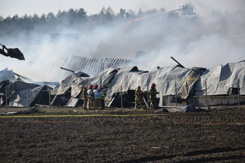 Akcja gaszenia zakładu meblarskiego w Kaninie: 152 strażaków walczyło z żywiołem przez 20 godzin