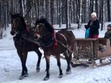 Śnieg pada, mieszkańcy Bełchatowa i okolic organizują kuligi!  