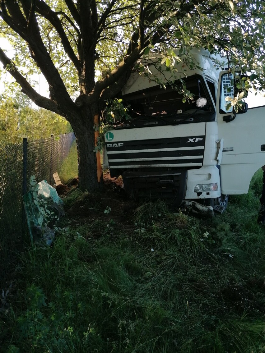 Brzeźno: Samochód ciężarowy z naczepą wjechał do rowu i uderzył w drzewo
