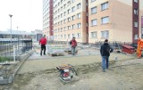 Szczecin: Kultowe "grzędy" zmienią w boiska. Studenci protestują
