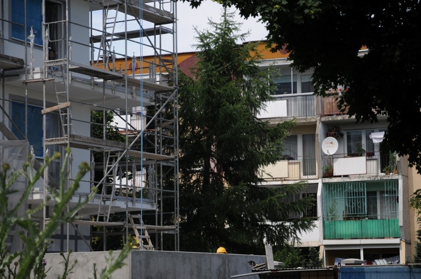 Kubina: w slumsach stworzonych przez władze spółdzielni nikt nie będzie chciał mieszkać
