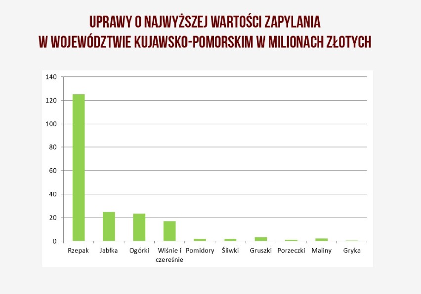 Zabierz głos i zdecyduj o przyszłości polskich pszczół [zapowiedź]