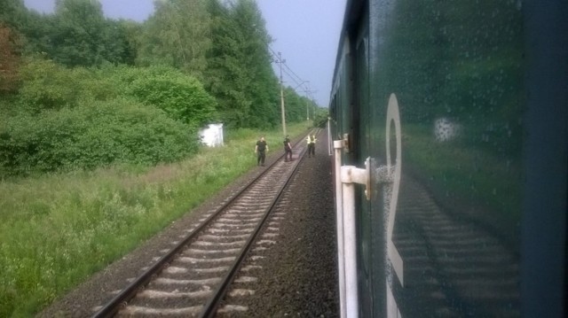 Powalone drzewo zablokowało pociąg na trasie Szczecin - Stargard